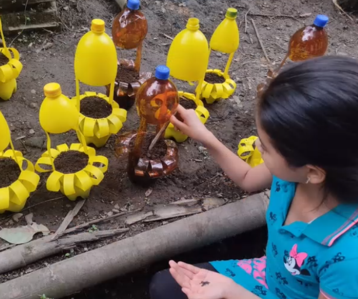 Feria de Responsabilidad Social en el Eje Cafetero Niña con semillas en la mano, trabaja en el huerto que se compone de macetas realizadas con botellas plásticas.