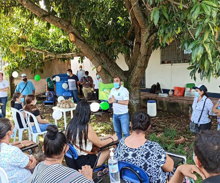 El cultivo del mango y su potencial de valor agregado El cultivo del mango y su potencial de valor agregado