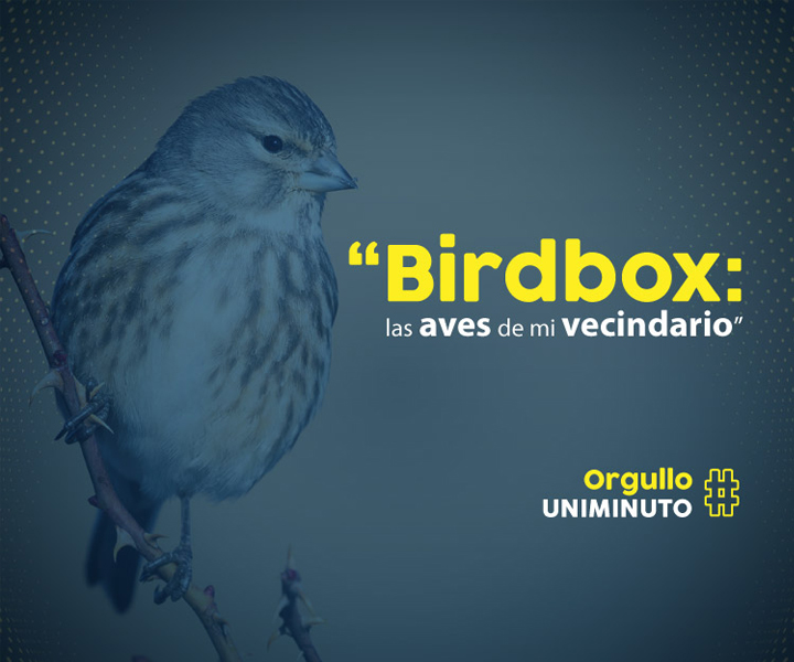 Mini-beca para el cuidado de las aves Mini-beca para el cuidado de las aves