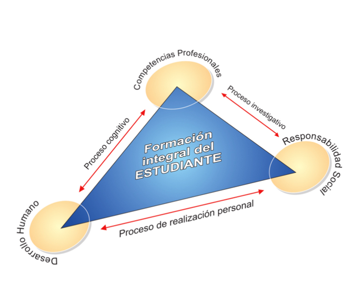 Modelo Educativo Infografía modelo educativo