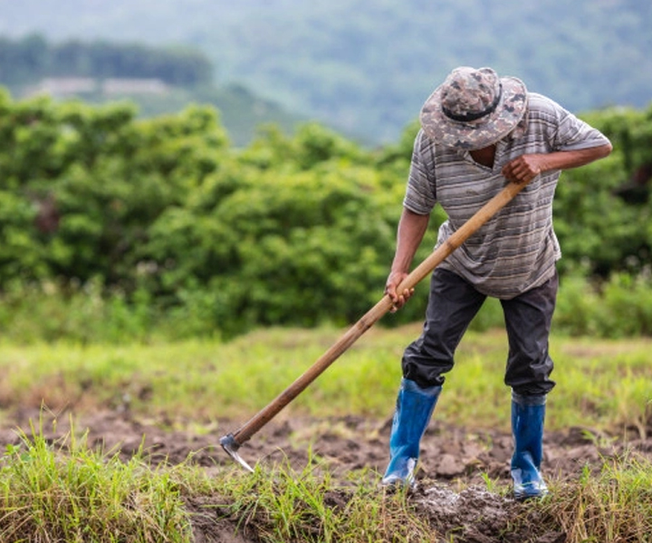 Hacia una producción agrícola más amigable con los campesinos Hacia una producción agrícola más amigable con los campesinos