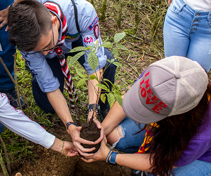 Sembrando compromiso en cuidado ambiental en el Eje Cafetero Día-del-medio-ambiente.jpg