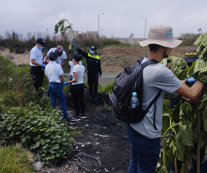 Súmate, sé voluntario por un día Jornada de recolección de basuras con niños del colegio ciudad verde UMD