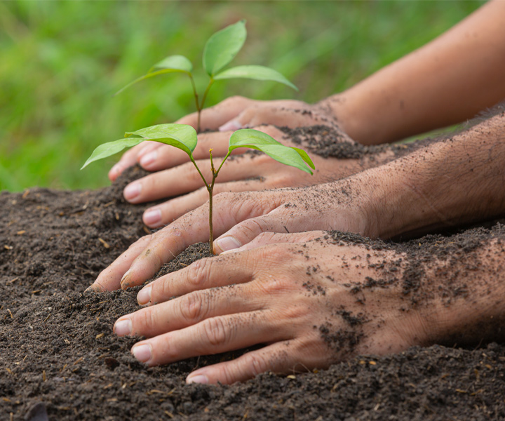 Jornada ambiental en Altos de Cazucá Jornada ambiental en Altos de Cazucá