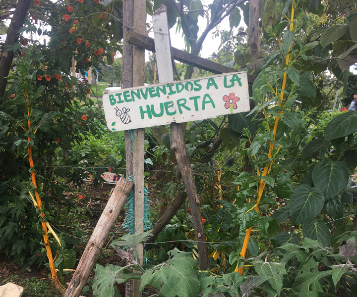 Huertobog Huertobog