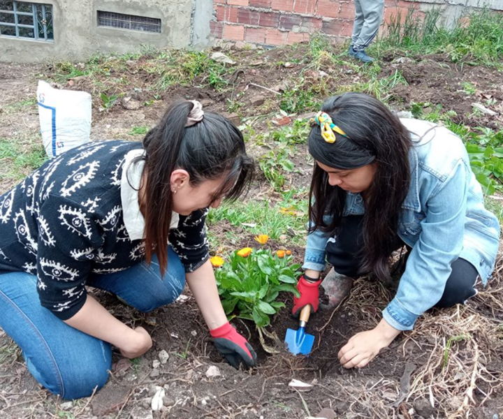 Colectivos ambientales y nuestros estudiantes es la recuperación de espacios públicos Trabajo comunitario y apoyo de los estudiantes