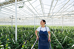 Técnico_Laboral_Auxiliar_de_Trabajo_Agrícola_UNIMINUTO