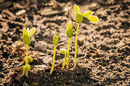 Técnico_Laboral_por_Competencias_en_Gestión_Agroambiental_UNIMINUTO