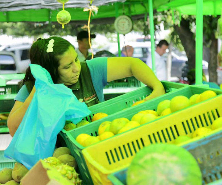 miembro-de-coomerlibre-en-mercado-libre-de-cucuta.jpg miembro-de-coomerlibre-en-mercado-libre-de-cucuta.jpg