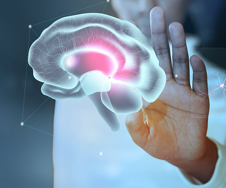 Epilepsia, cuidados, datos y prevención para el cuidado de la salud Epilepsia