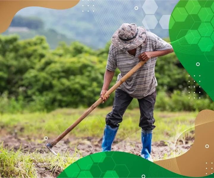El campo necesita fortalecer sus emprendimientos
