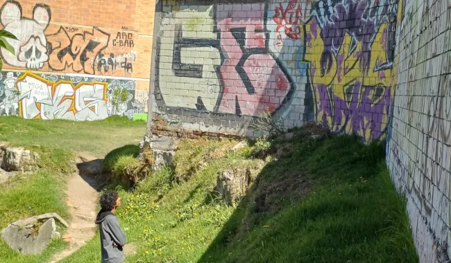 Trabajo de campo