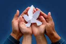 Banner-maestria-paz-y-gestion