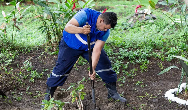Voluntariado UNIMINUTO con el cuidado de espacios naturales
