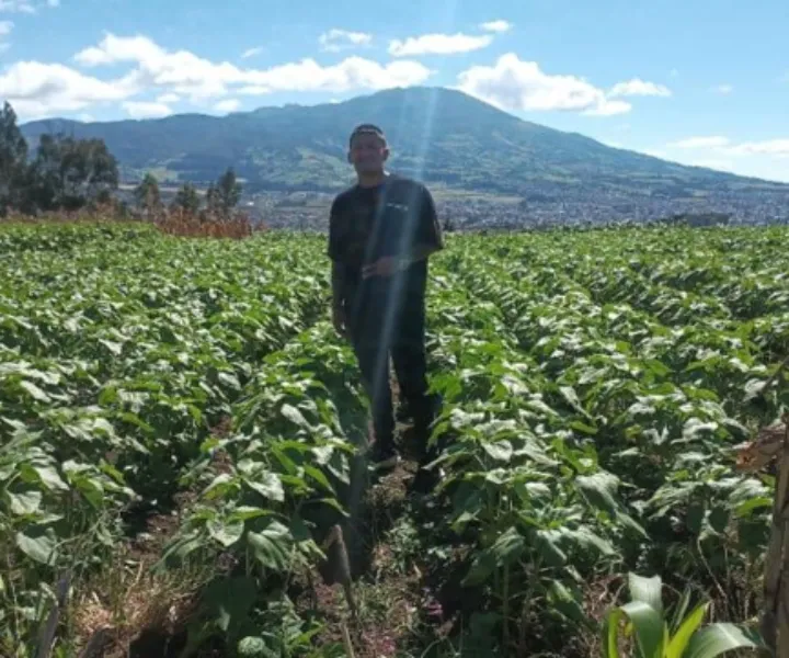 estudiante de UNIMINUTO con proyecto de girasoles en Nariño