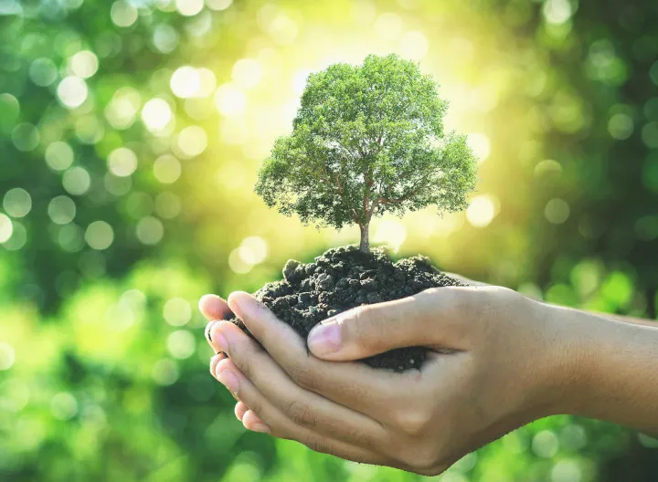  ecología integral árbol en mano