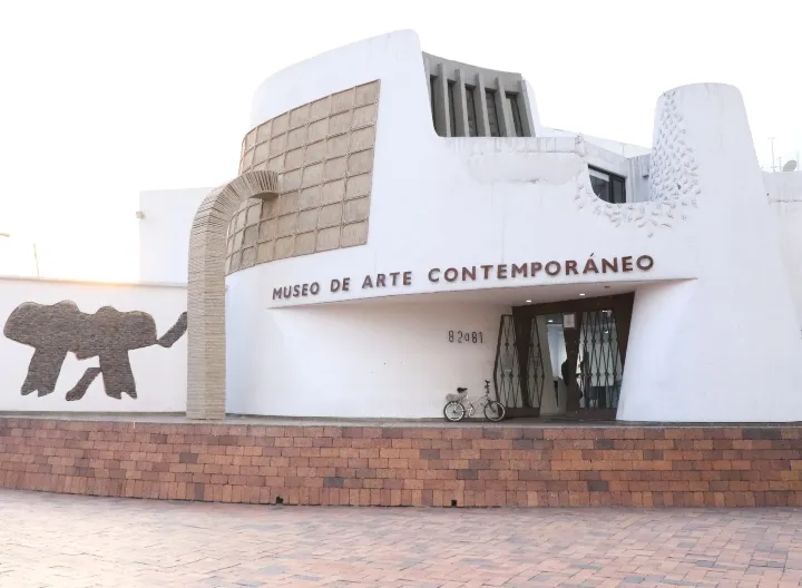 Obra "Lengua Negra" por el artista Antonio Puri