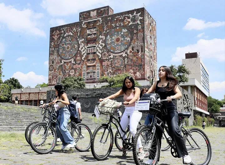 Programa Delfín: investigación y aprendizaje desde otras culturas 
