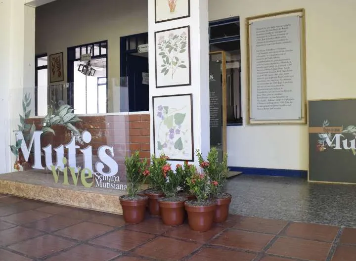 Mutis-Exposición-Ibagué