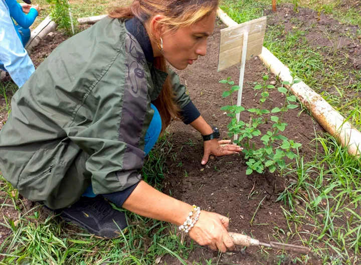 Estudiante del programa de Licenciatura en Ciencias Naturales y Educación Ambiental, realizando actividades en la huerta.