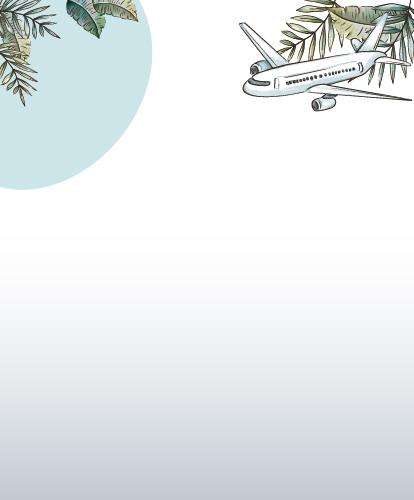 Gráficos de viaje y estudio 