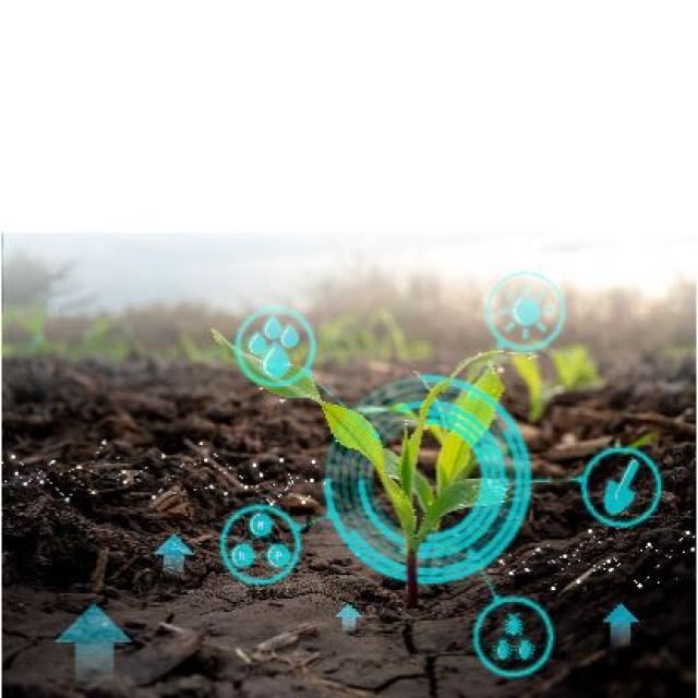 planta-íconos-ambientales