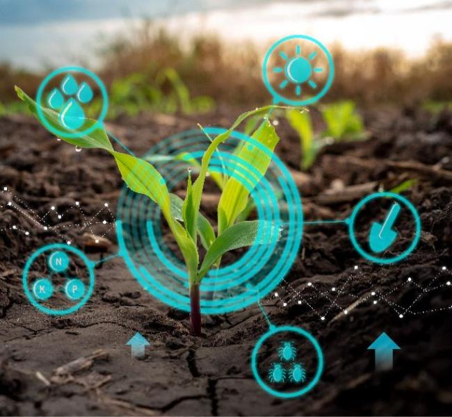 planta-íconos-ambientales